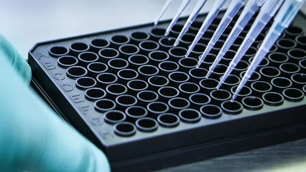 AffiELISA® Human DHT Kit: High Sensitivity Dihydrotestosterone ELISA Detection - 96 Tests