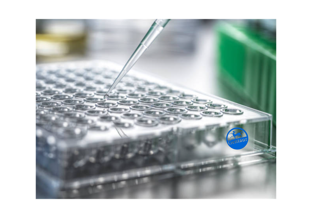 ELISA   AATF anti-