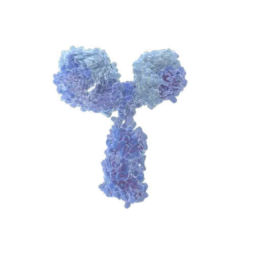 AIFM1 (Human) Matched Antibody Pair