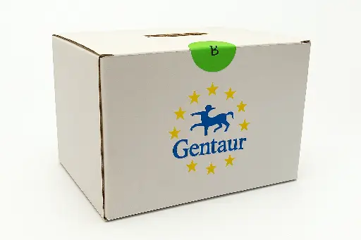 [FM-MS-TOROHOME] TOROHOME® qPCR Cycler, 4 Wells